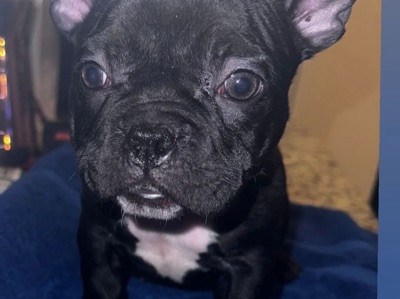 KRUSH Banks Profile Picture