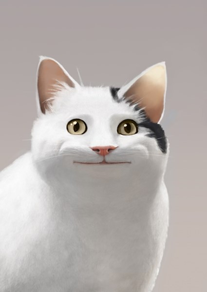 Tahara Sama Profile Picture