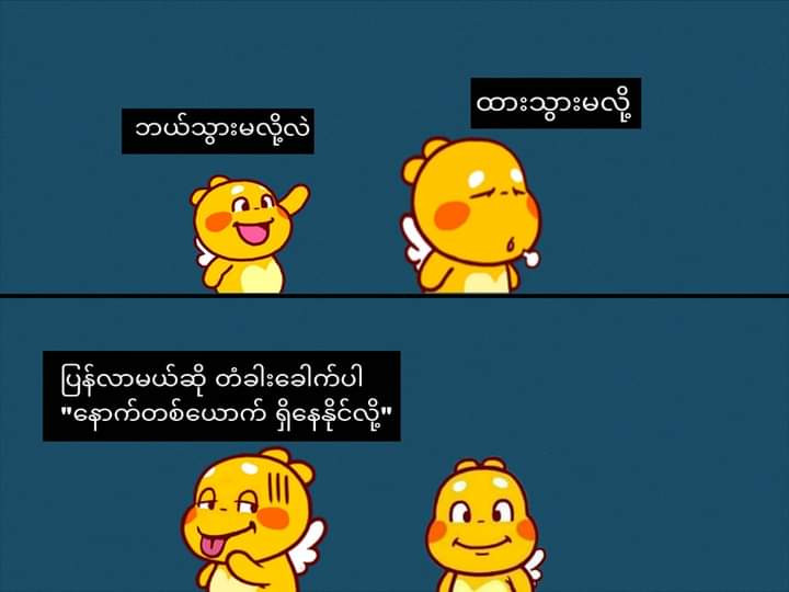 Min Zaw Profile Picture