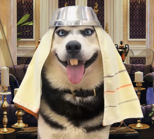 Ko Myo Profile Picture