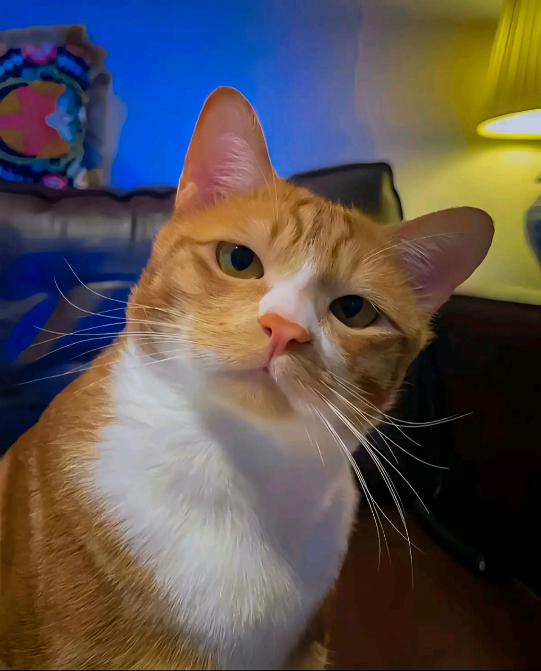 Mark Nova Profile Picture