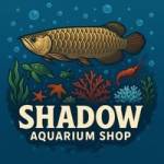 Shadow Aquarium Shop profile picture