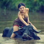 Hla Myo Profile Picture