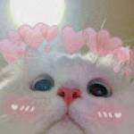 Aung Ko Ko Lwin Profile Picture