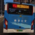 张 芣苢 Profile Picture