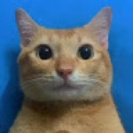 Thaw Zin Soe Profile Picture