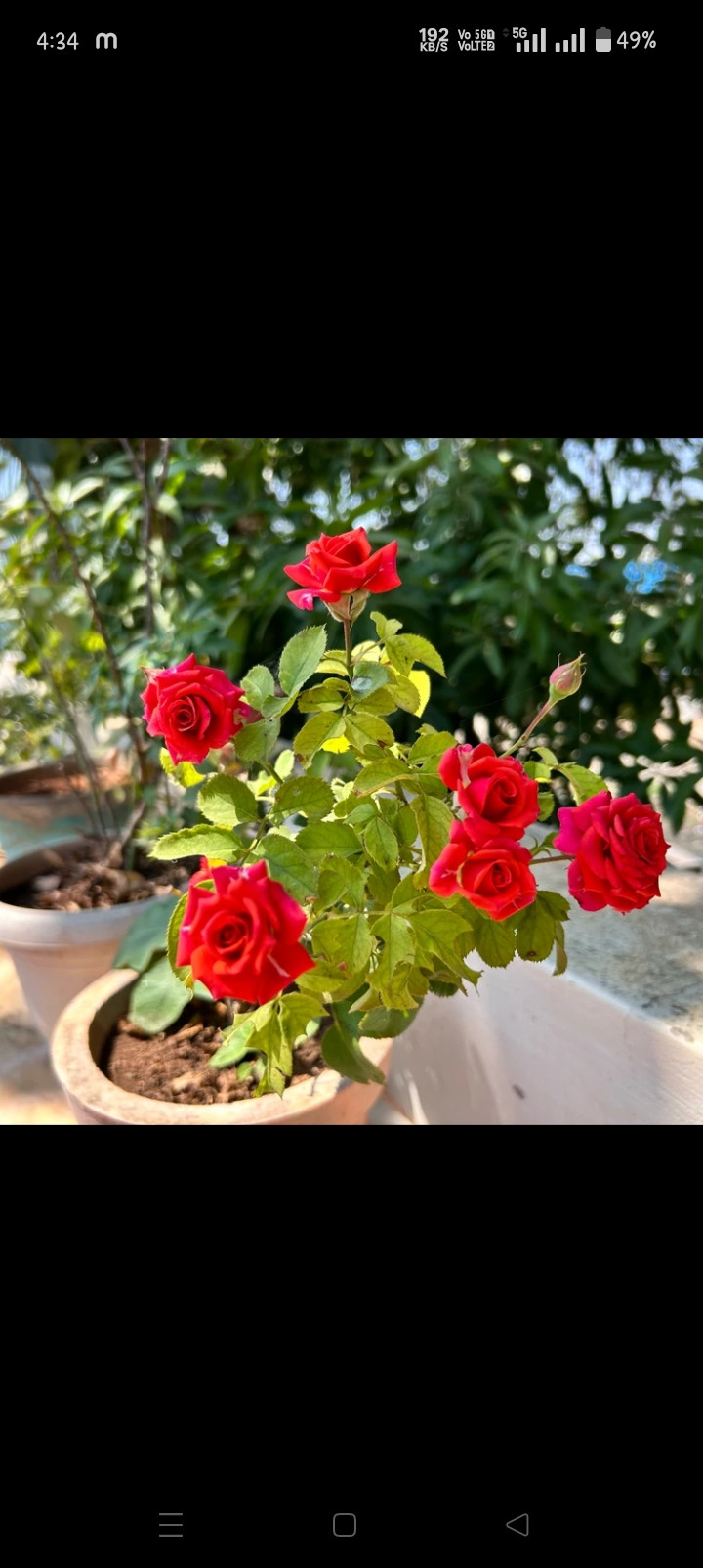 Nk Maurya Profile Picture