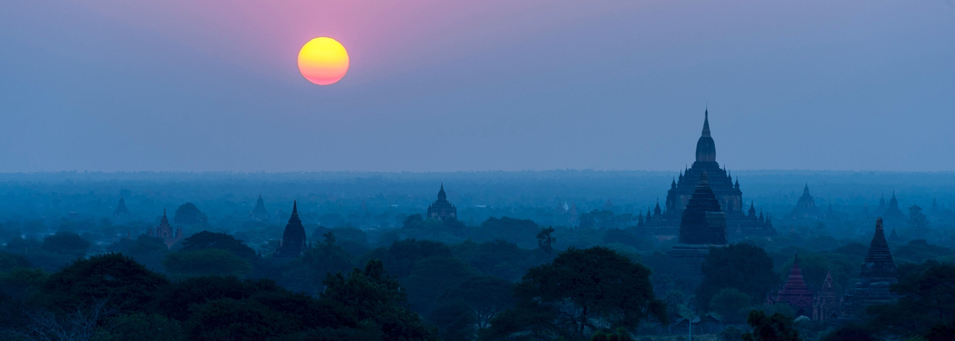 Haider Ghonaim Profile Picture