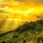 မင်းဒန်အောင် Profile Picture