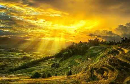 မင်းဒန်အောင် Profile Picture
