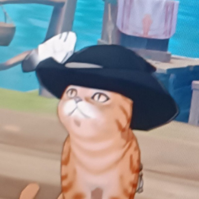 Argument NullCat Profile Picture