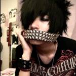 Seth Profile Picture